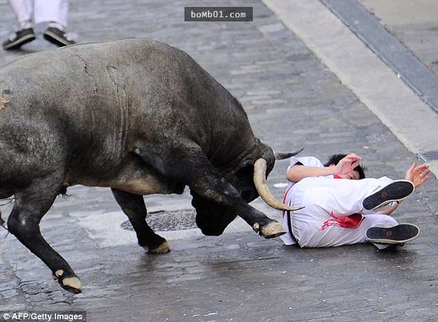 西班牙鬥牛士被牛角絆倒摔落在地，接下來公牛的舉動讓全場都失聲尖叫了！