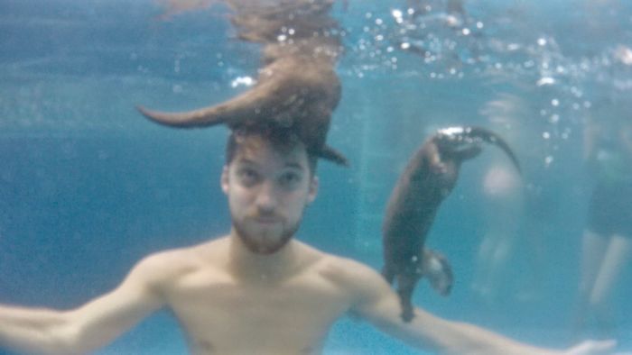 保動物護區萌推「陪水獺游泳」大受歡迎　人跟動物的親密接觸畫面太有愛