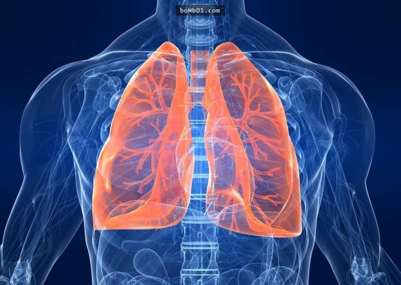 科學家發現「肺的隱藏版功能」刷新全世界醫生的認知，革命性的研究結果連課本都要修訂了！