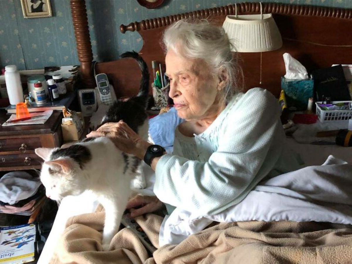 「收容所最老貓咪」找到完美領養對象　101歲奶奶接回家：以後就是彼此的伴♡