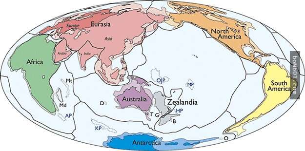 其實世界上不只有「七大洲」，地理學家已證實還有「隱藏版的第八大洲」！