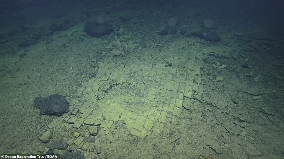 誰鋪的？夏威夷海底驚現「整齊黃磚路」　科學家驚：是通往亞特蘭提斯的！