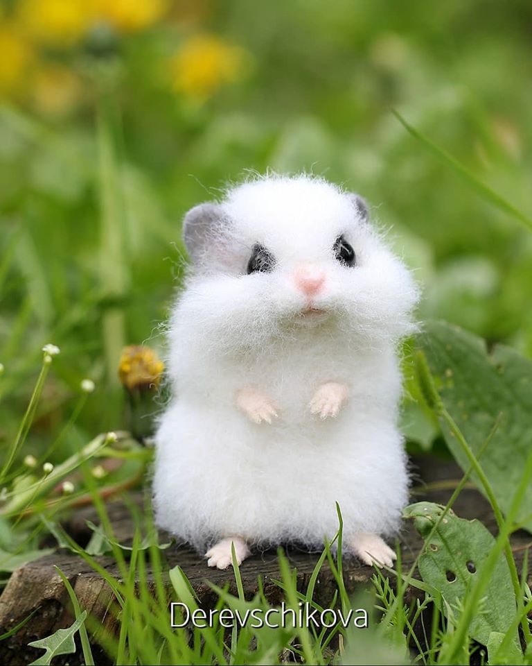 有呼吸？超逼真「羊毛氈小動物」像活的　藝術家：每隻花20個小時製作
