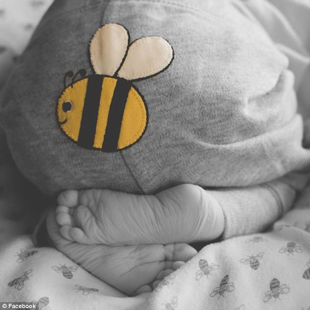 孕婦跟上萬隻蜜蜂外拍「被螫3次」還強調很安全，沒想到預產期前6天寶寶卻死掉了…