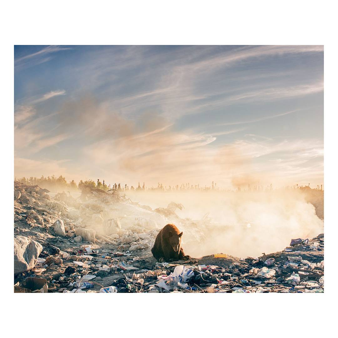 他拍的這張照片「心碎了一個月才敢PO出來」，燒傷的棕熊在火場吃垃圾的一幕讓他邊拍邊掉淚…