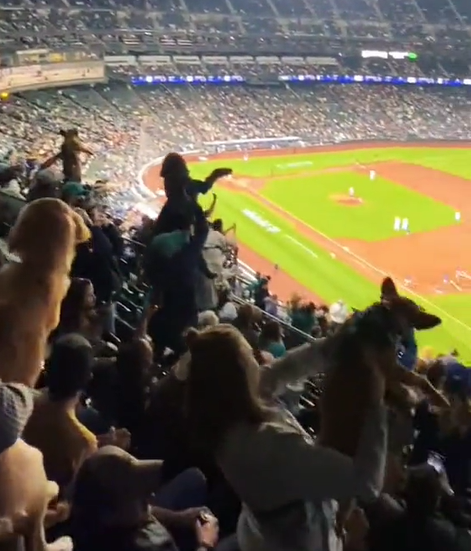 球場響起《獅子王》音樂！　所有球迷「舉起狗狗」超歡樂：小辛巴在此～