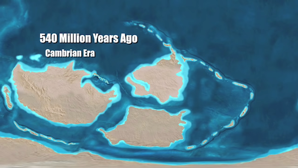 真實模擬地球「1億年後的外觀」　許多國家都從地圖消失了…