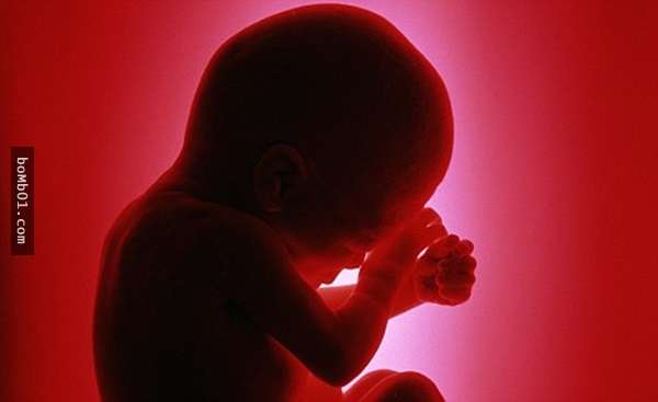 被墮胎的嬰兒如果沒有「完全死亡」怎麼辦？聽完這些護士的告白你會知道他們的下場比死還慘…