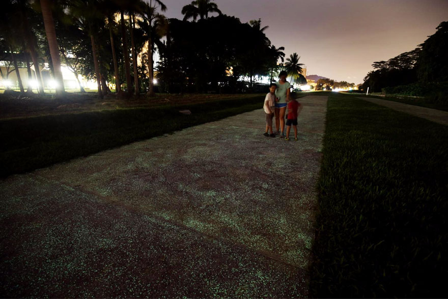 新加坡打造夜間自動發光的「星空走廊」，宛如「漫步在銀河」的夢幻景象讓各國網友狂讚！
