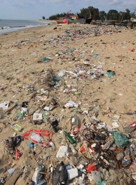 打死也不想去！　中國夏天的海灘根本是垃圾場　在地人卻可以樂在其中