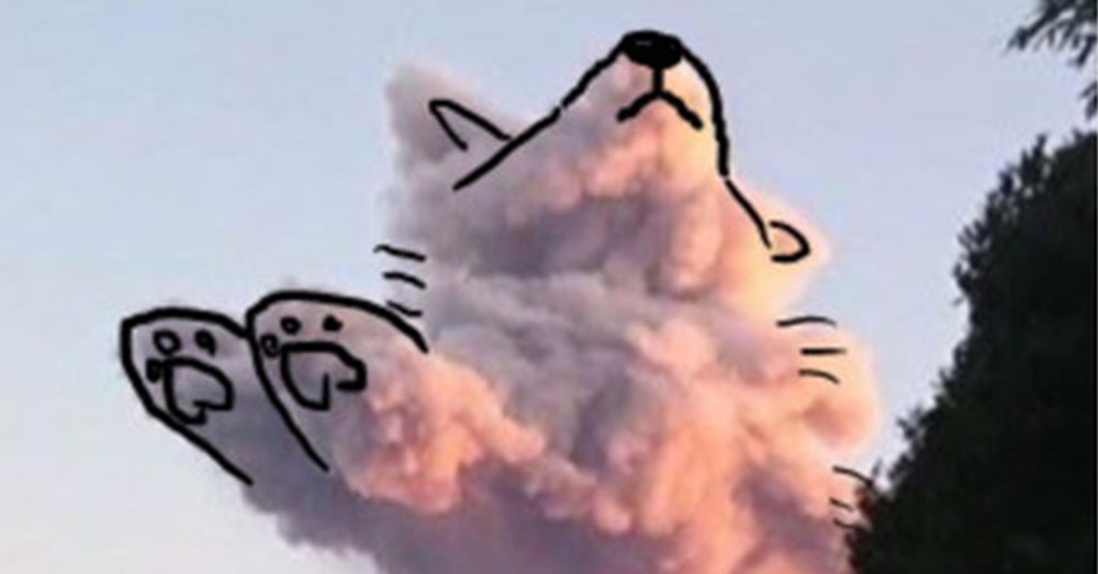 天空飄來一朵雲！　網友竟看到不同景色：是「狗狗」還是「貓咪」？