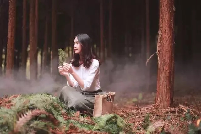 31歲女生棄北漂返鄉「撿破爛」　反而發掘才華成為「森林設計師」紅翻天