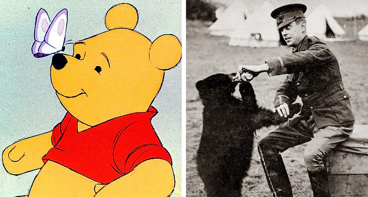 15個「靈感來自真人」的知名角色　小熊維尼原來是真有其熊？