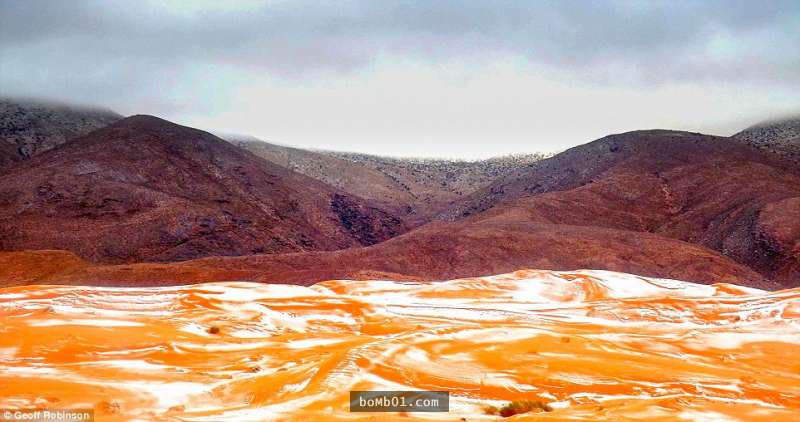 全世界最熱的撒哈拉沙漠「37年來第一次降雪」，駱駝看到眼前的景象都驚呆了！