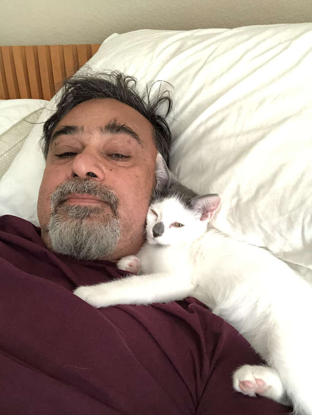 老爸曾放話「不喜歡貓」　女兒旅遊卻收到炫耀照：牠睡我脖子旁捏～