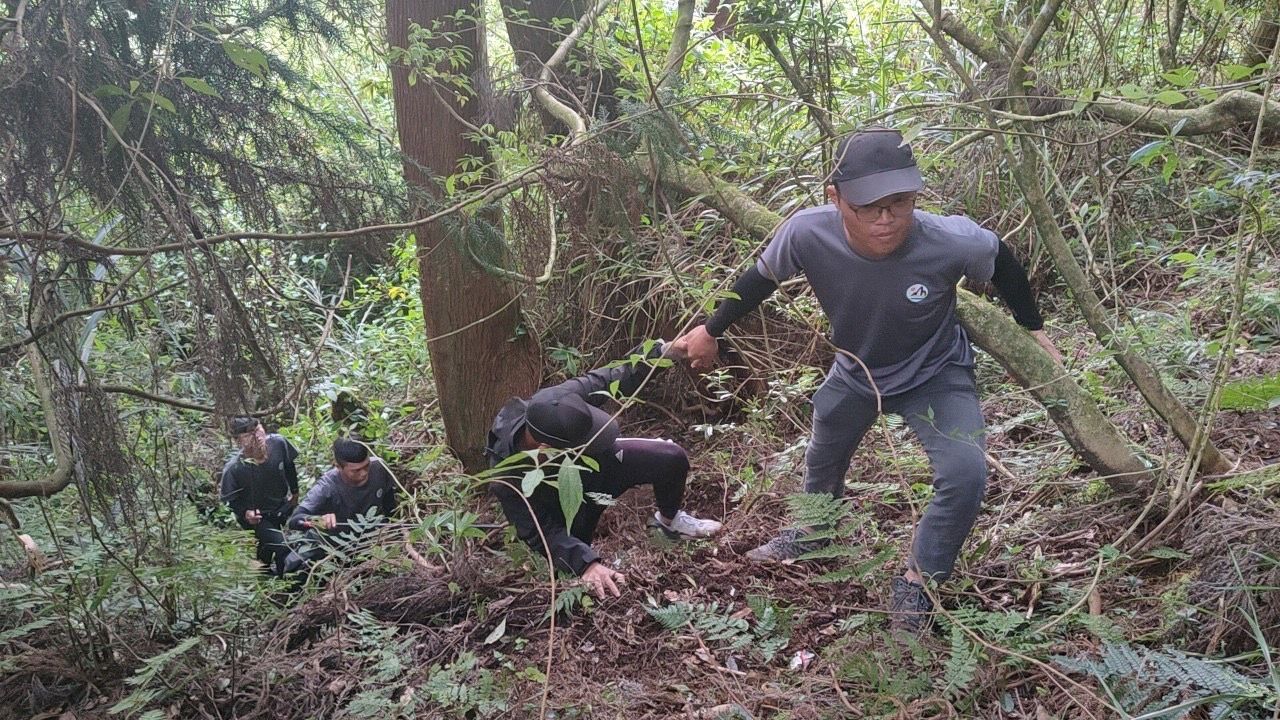 國寶級「帝雉」遭伏擊！　動保員耗時2天全面捕捉阿里山浪犬