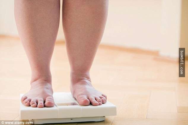 6種不說根本不會知道的「不同肥胖部位的消滅肥肉方式」，努力減肥卻看不到效果的人趕緊糾正錯誤吧！