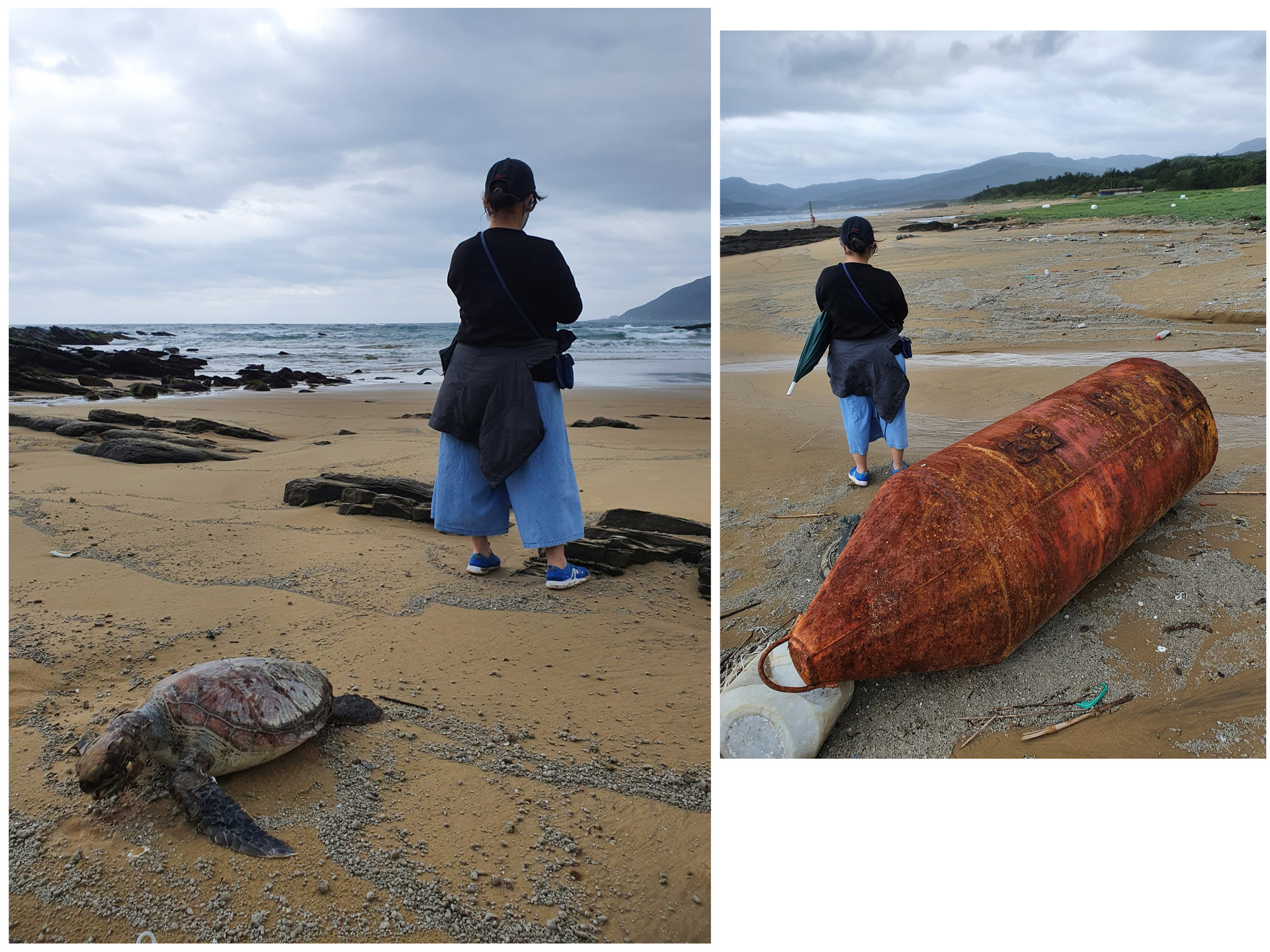 台灣本島海灘發現首例！他淨灘竟「撿到寶物」　專家認證：上等龍涎香！