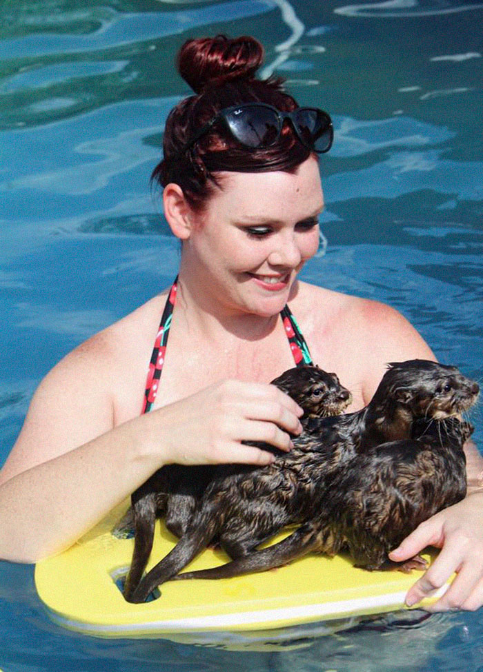 保動物護區萌推「陪水獺游泳」大受歡迎　人跟動物的親密接觸畫面太有愛