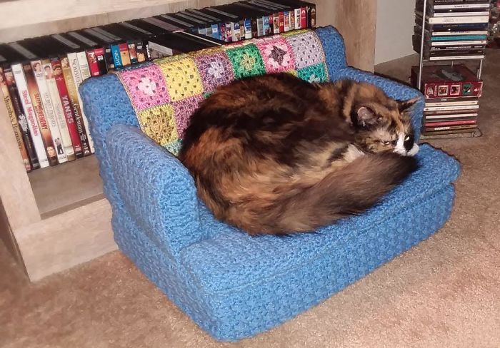 開發新樂趣！貓奴用閒暇「編織迷你貓沙發」　喵皇「坐上去融化」超有成就感～