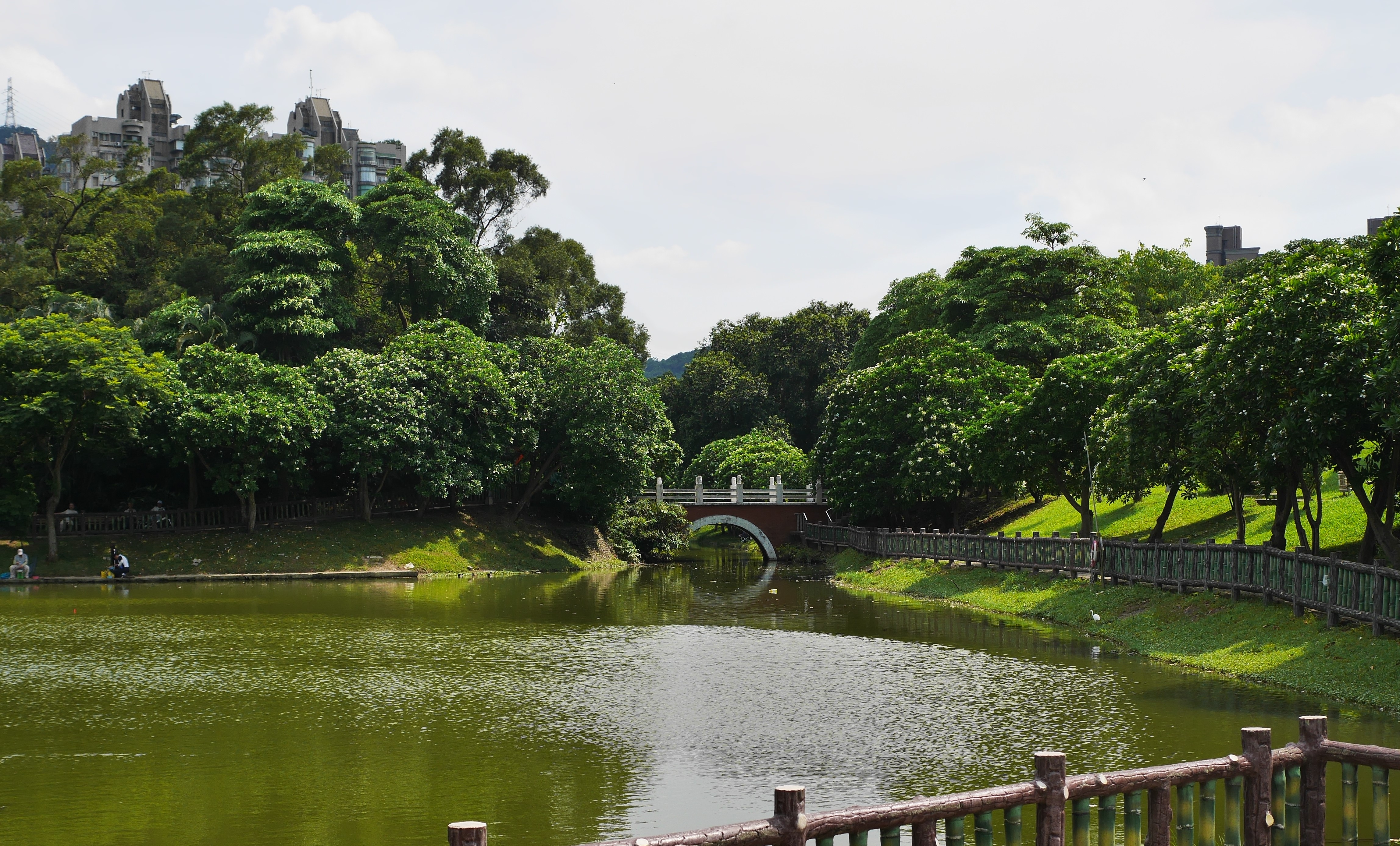 荷蘭科學家驚呆！他發現「台灣土地能量」全世界第一，南港公園待1小時等於去森林浴一整天！