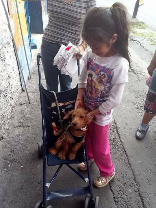 7歲小女孩因為沒照片只好「親手畫尋狗海報」，結果真的有人「找出狗狗」帶到她面前！