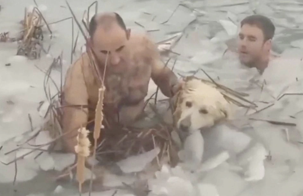 救你是我們的使命！西班牙警察獲報「狗狗受困冰湖」　竟「光上身」跳下水救援