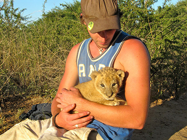 小獅子被「人類爸爸」養大才野放　長大看到秒求抱抱：才不會忘了你～