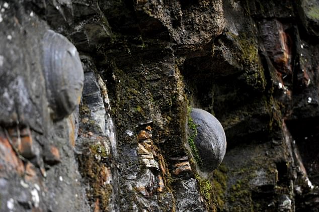 這裡的懸崖石壁「每30年都會產下石蛋」，近看根本像是來到侏羅紀公園看恐龍蛋！
