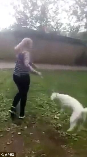 這個女生才14歲就已經學腦殘去「虐待狗狗」，掐著狗狗的脖子把牠扯到飛起來還在笑！（有影片）