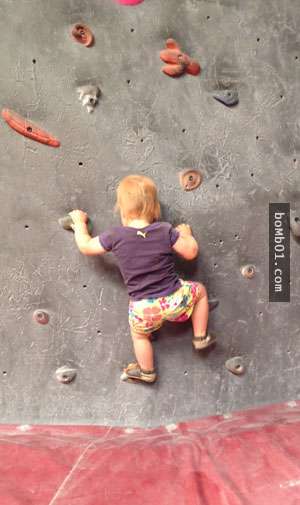 1歲多就會攀岩的「神奇寶寶」　靠自己的力量爬2公尺高攀岩牆