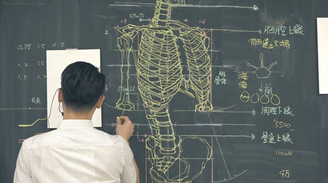 「人體透視圖」畫得比3D骨架還狂！　台灣講師爆紅國外：長超帥又有才