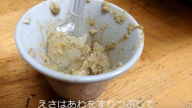 日本網友將超市買來的鵪鶉蛋放在鸚鵡旁　幾天後不可思議的事情發生了