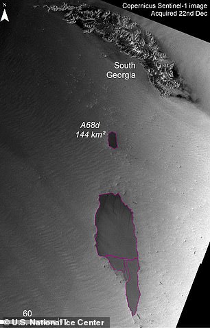 有雙北那麼大！世界最大冰山「分崩瓦解」　科學家憂：會造成生態浩劫
