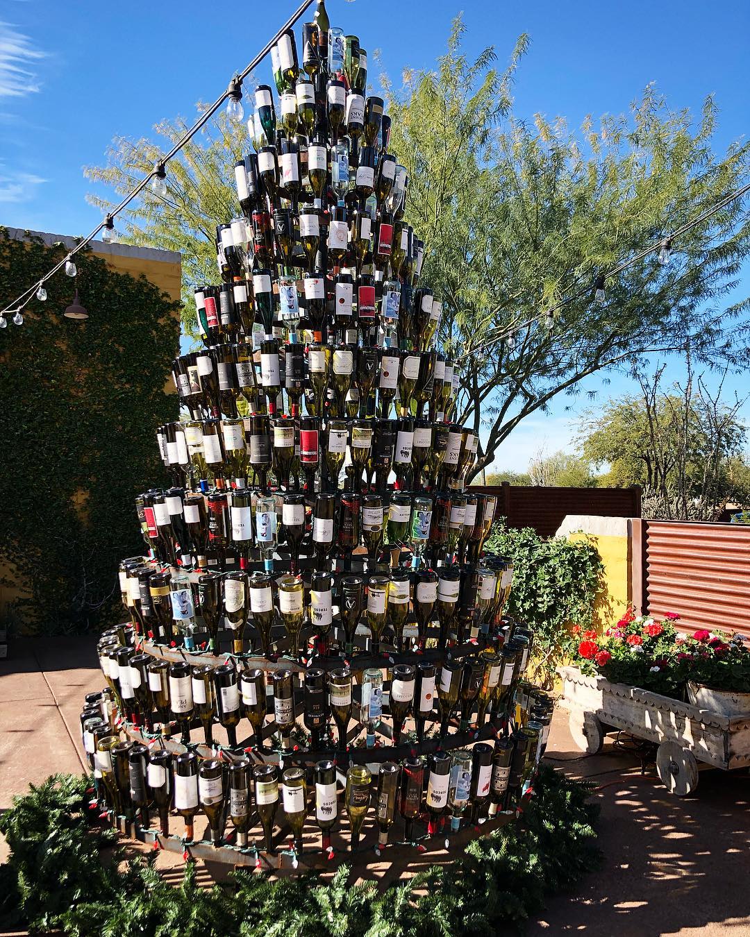 外國超夯「酒瓶聖誕樹」各種華麗　網讚神點子：喝完再利用超環保