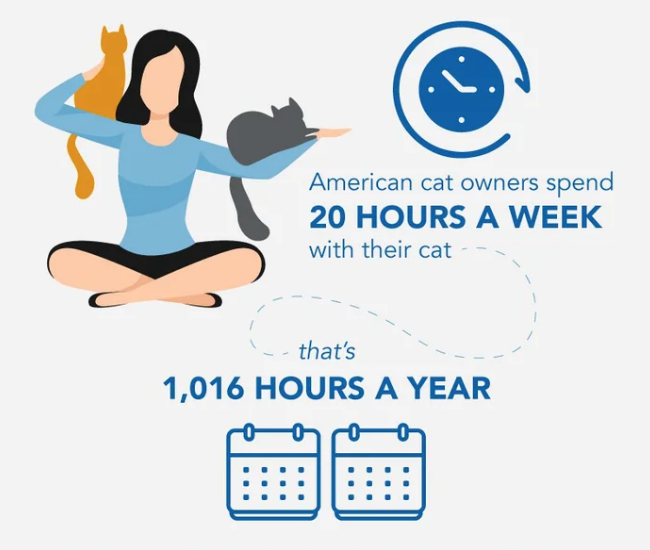 研究發現：貓奴每天至少要幫主子拍7張照片　每年膩一起的時間更是超過1000小時