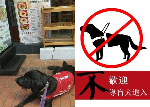 市民要求視障服務犬「會嚇哭小孩」該戴口罩　保護團體傻眼：你見過警犬戴？