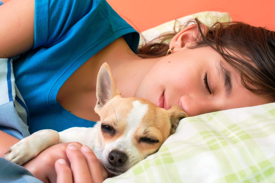 女生晚上總是失眠無法入睡？　專家建議：養一隻狗吧！
