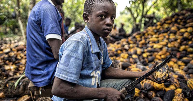 你吃的都是童工的血汗…　7個「靠壓榨非洲童工製造巧克力」的國際知名品牌