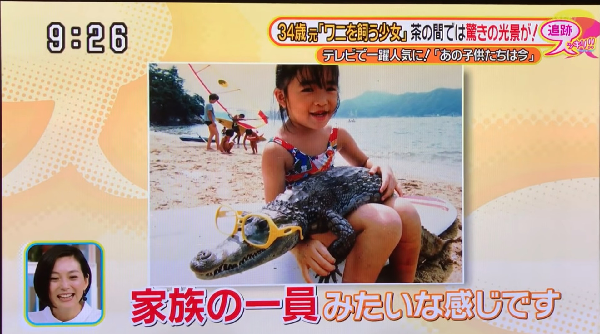 同枕38年！日本阿伯「養2米鱷魚」陪伴　會撒嬌嬌、每天霸氣放風