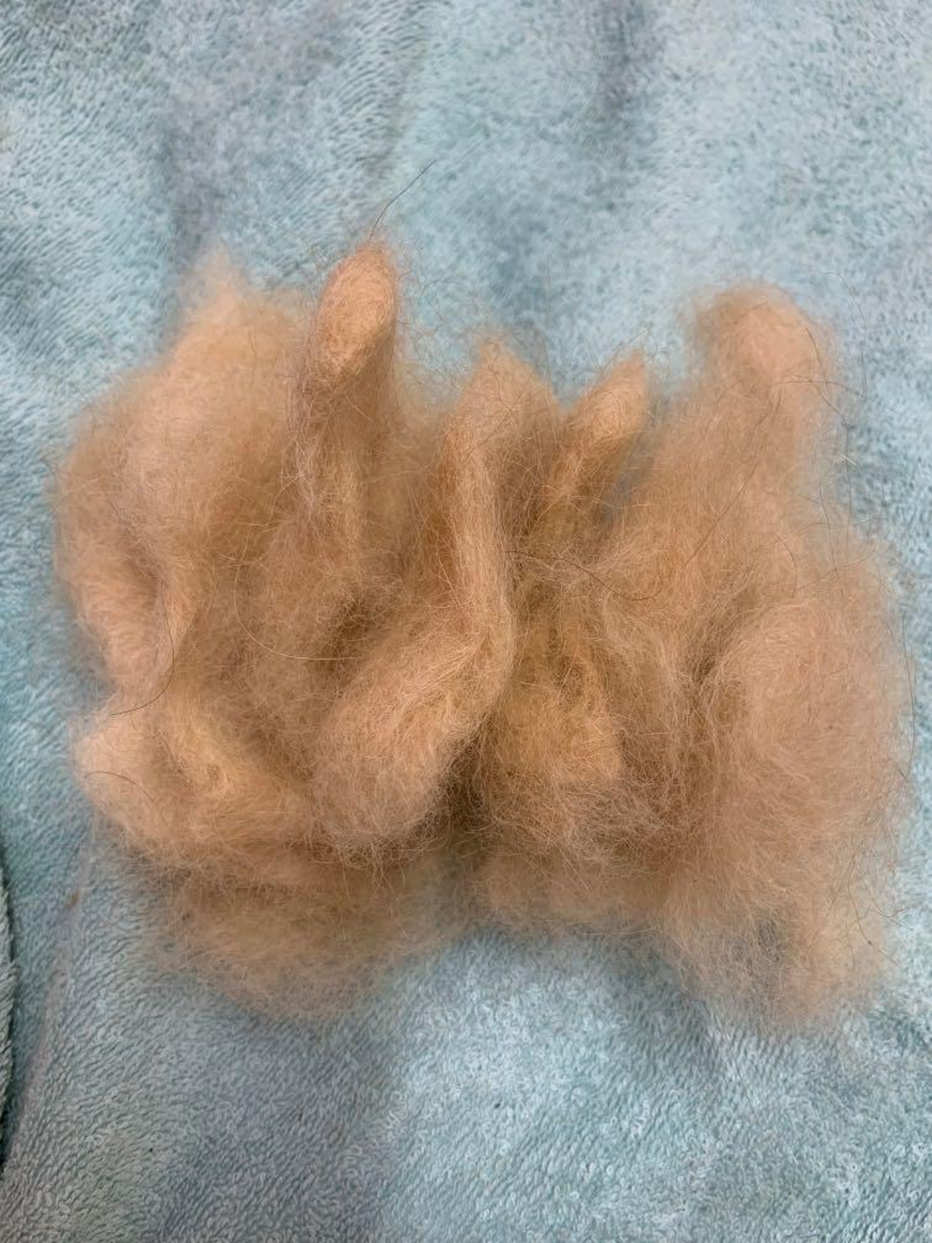 一包賣近80元！飼主出售狗毛稱「可編織」　網友各種神回：單身狗的毛可以嗎？