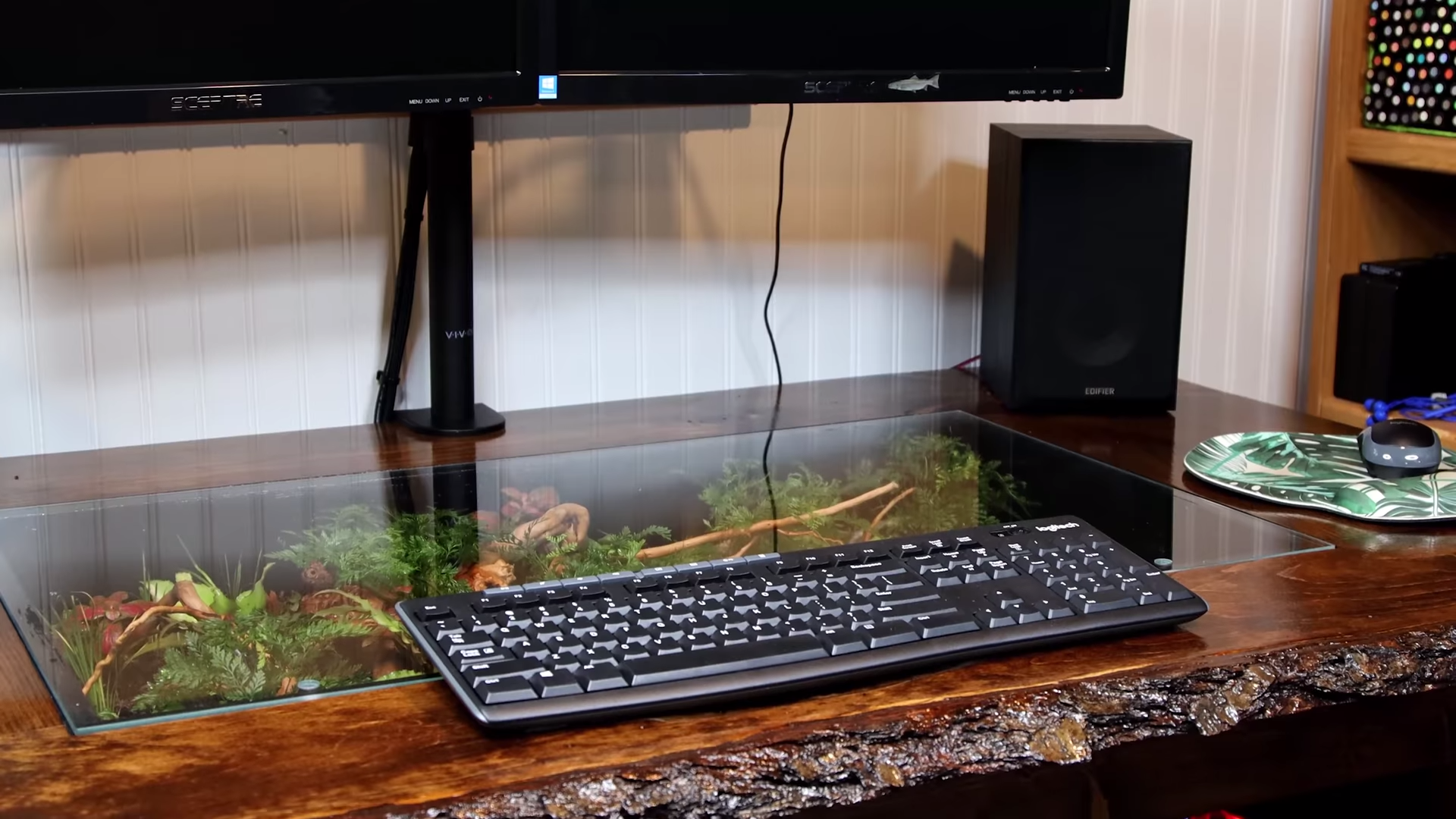 森林系傢俱！　他改造電腦桌成「微型植物園」　辦公也能享受療癒自然世界