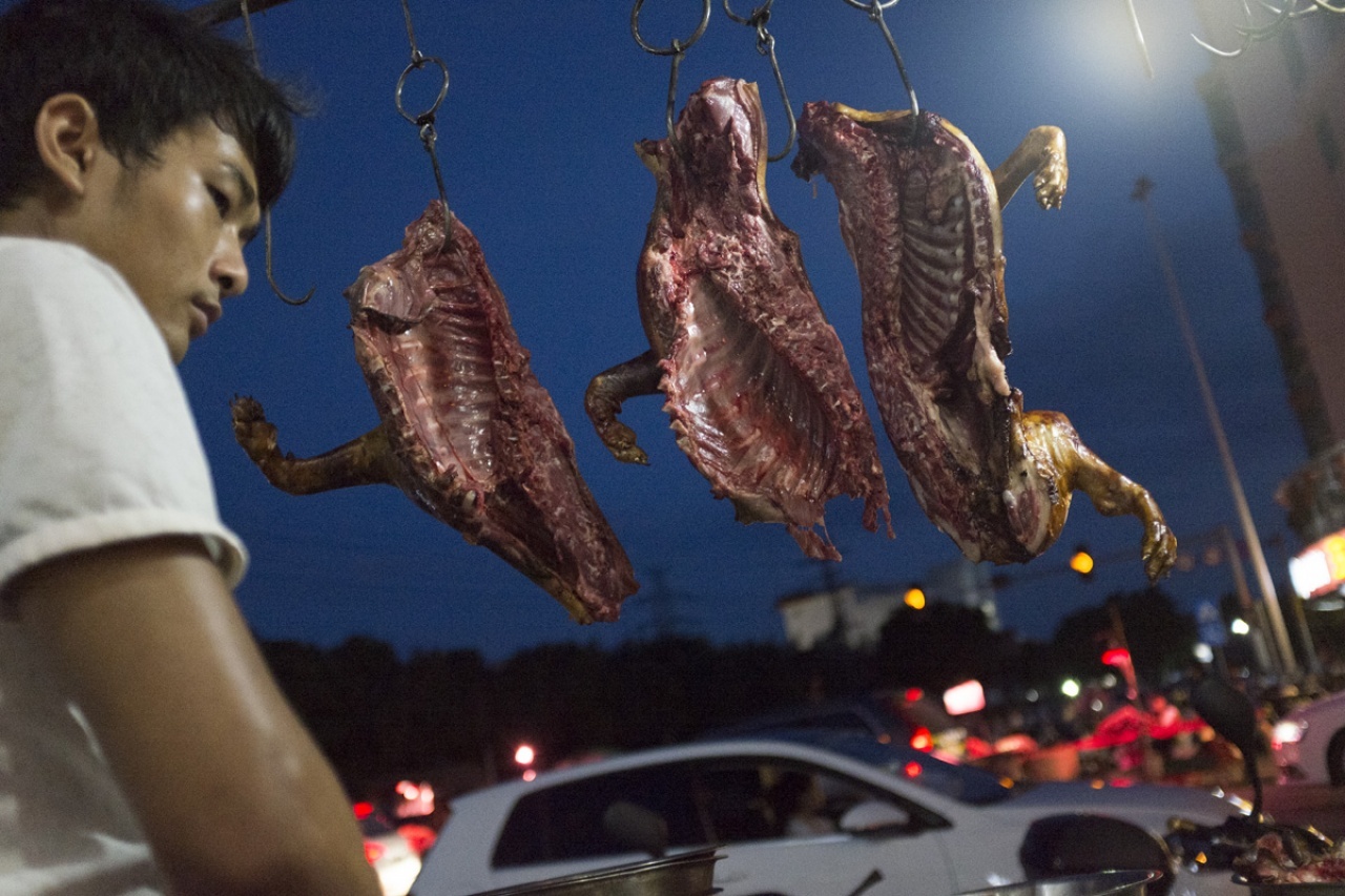 好消息！中國玉林狗肉節「經過全世界人多年來的抗議」，現在官方終於下令禁止任何的狗肉交易！