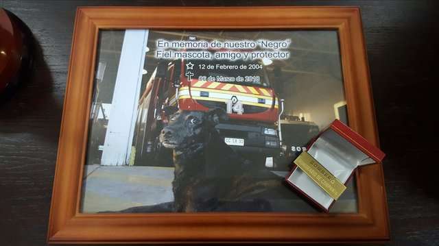 「我們會永遠記住你！」　消防局14歲狗狗離世　大家決定為牠辦最有愛的葬禮
