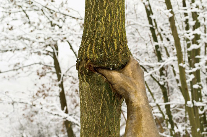 森林中出現「握著樹的手」　1968年的雕塑作品「過50年現在才完成」