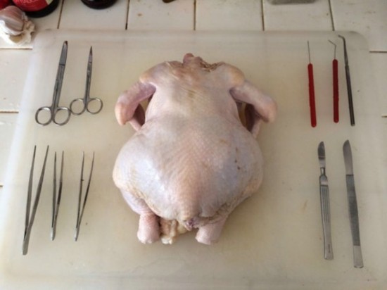 她傻眼醫科男友做無骨烤雞竟然準備「手術工具」，解剖10分鐘後的骨肉分離畫面超驚悚啊！