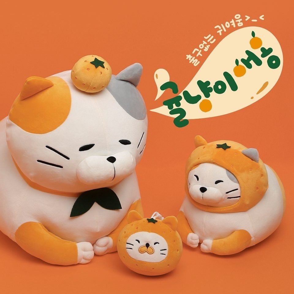 韓國「三花橘子貓」日用品聯名太療癒！　「肥美身軀變玩偶」抱起來超有踏實感啊～