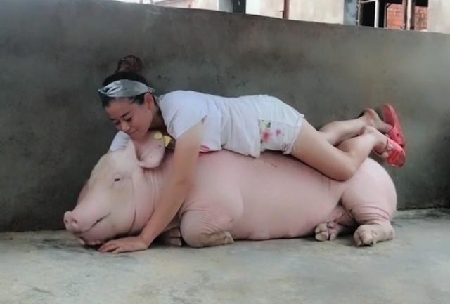27歲氣質妹養豬法是「陪著睡」　小豬有難「口對口呼吸救援」年入450萬！　