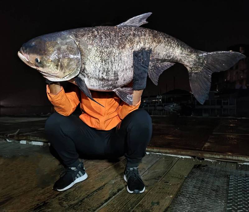 日月潭夜釣遇強勁拉力！　男釣到「42斤巨怪」尺寸太驚人：差點抬不動！