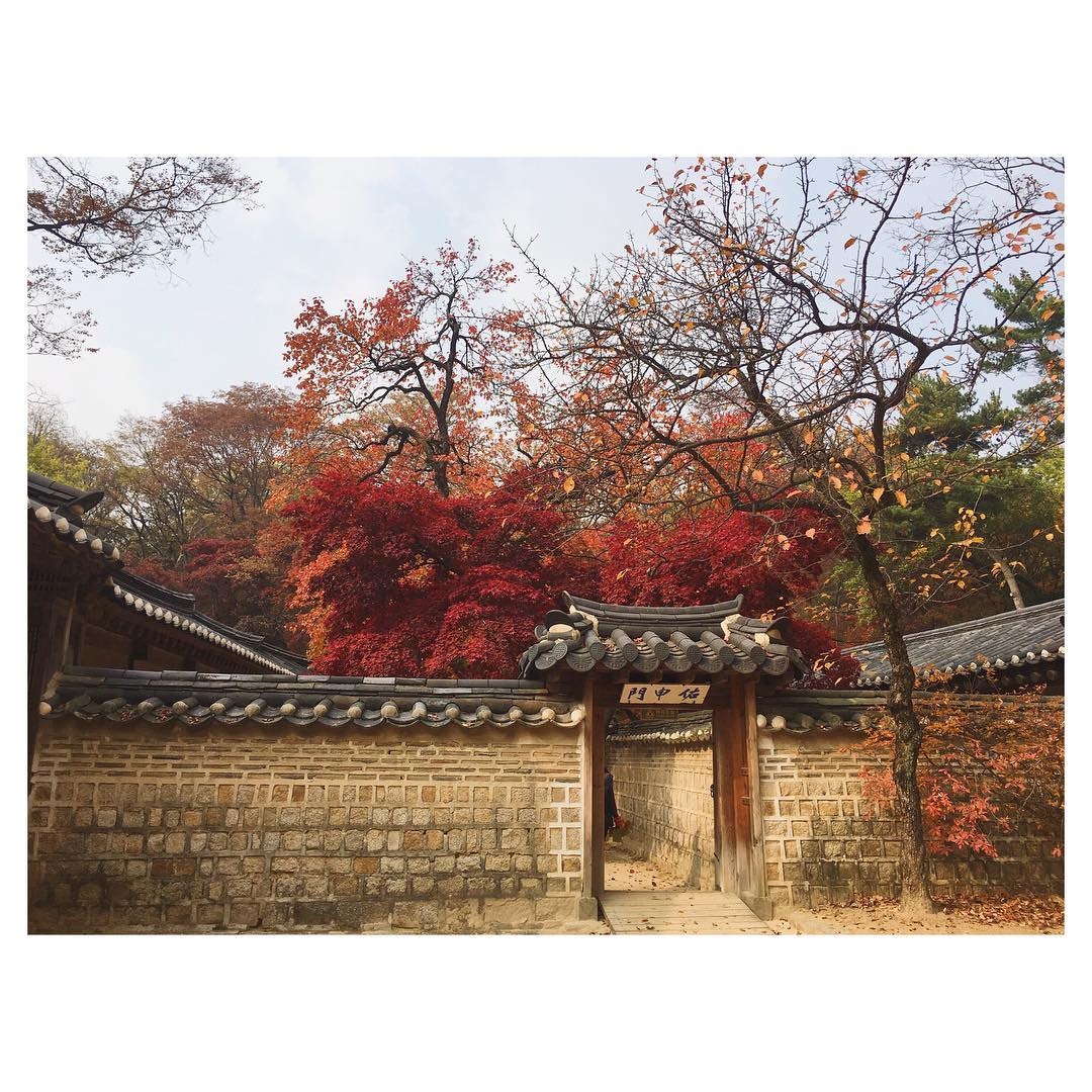 迎接首爾最浪漫楓葉季～　「4大賞楓秘境」拍出一片火紅秋色